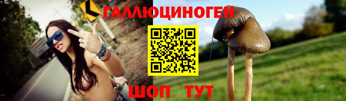 Галлюциногенные грибы мухоморы Вольск