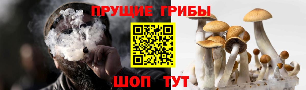 Галлюциногенные грибы прущие грибы  Вход с VPN  Вольск  Галлюциногенные грибы мухоморы 